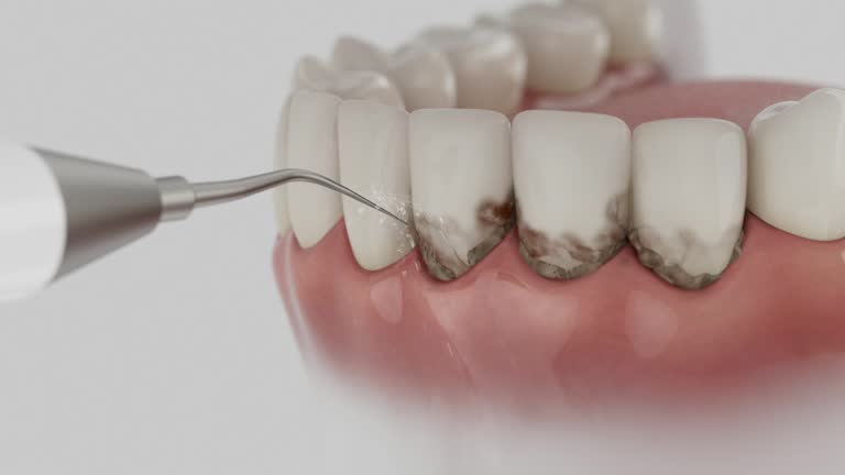 Reliable Dental contractor in North Wilkesboro, NC by Dentist Open Now